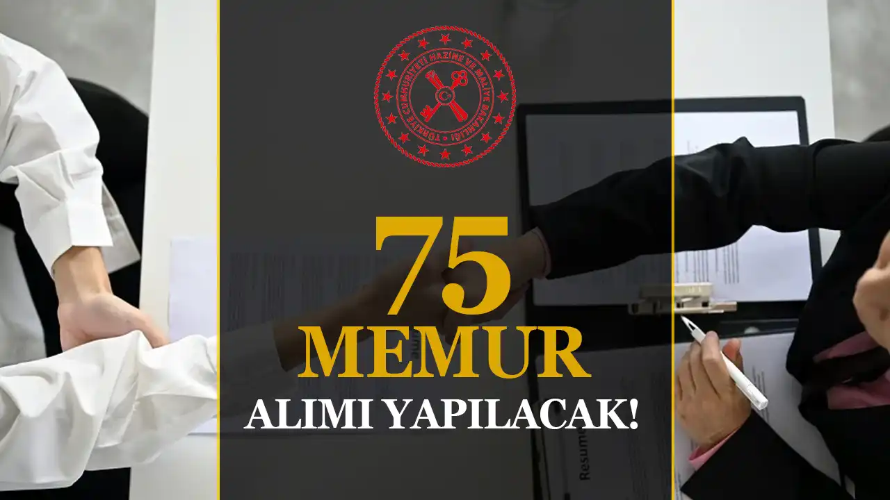 Hazine ve Maliye Bakanlığı 75 Vergi Müfettiş Yardımcısı Alacak