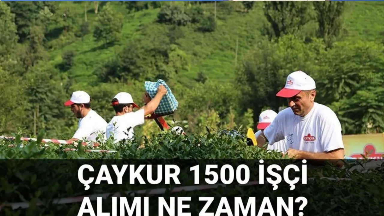 ÇAYKUR 2025 İşçi Alımı Şartları Değişti: SGK’lılar Başvuramayacak!