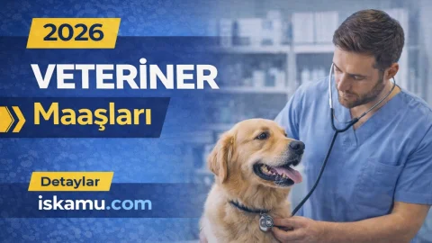 Veteriner Maaşları 2026: Kamuda ve Özel Klinikte Güncel Maaş Tablosu