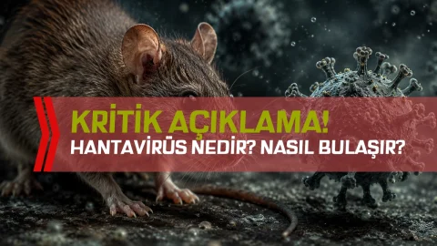 Hantavirüs Nedir, Nasıl Bulaşır? DSÖ ve Sağlık Bakanlığı'ndan Kritik Açıklamalar